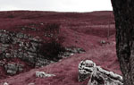 View away from Troller's Gill